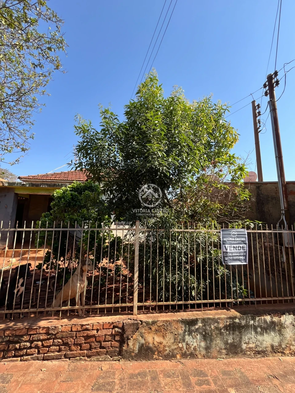 Casa À Venda Vila Oitenta Santa Cruz Do Rio Pardo