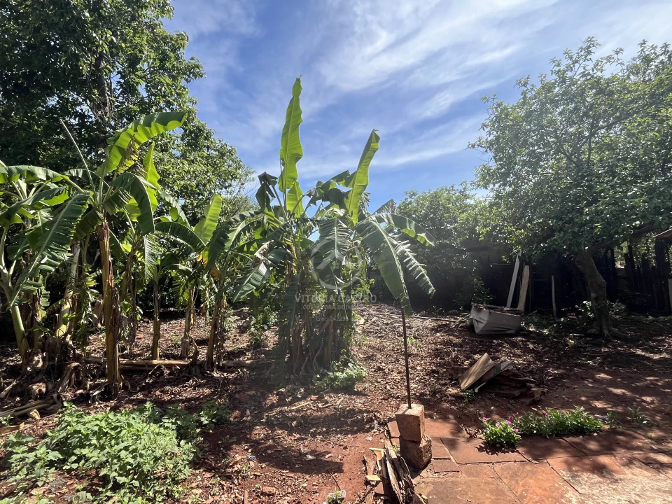 AREA PARA CHACARA DENTRO DA CIDADE1