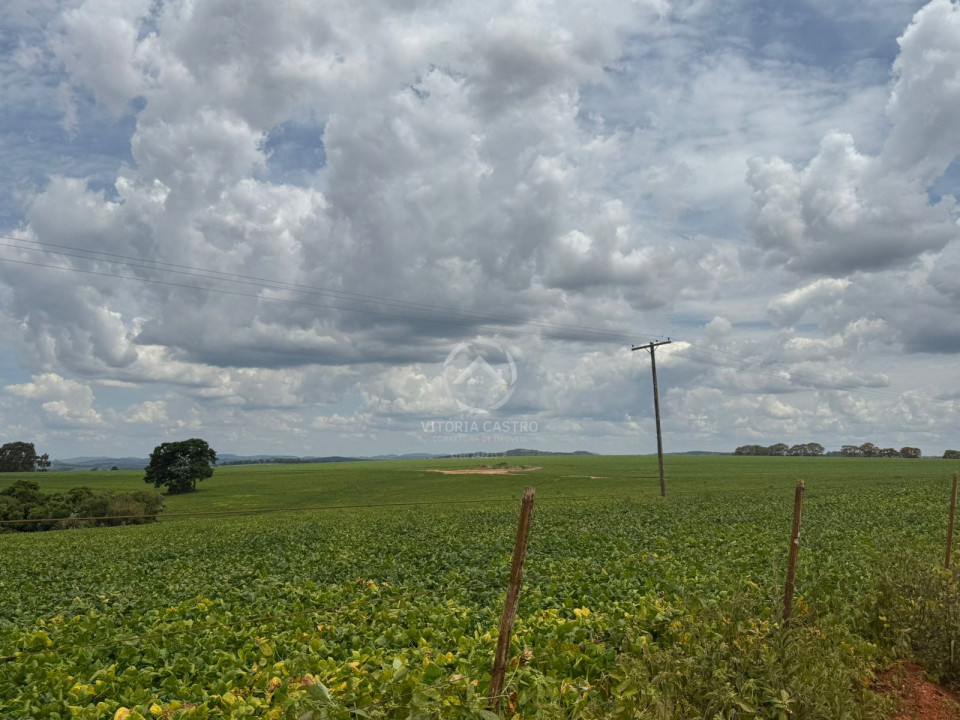 FAZENDA COM 380 ALQUEIRES