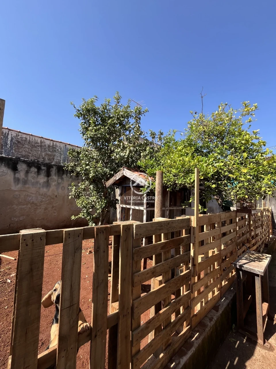 Casa À Venda Vila Oitenta Santa Cruz Do Rio Pardo