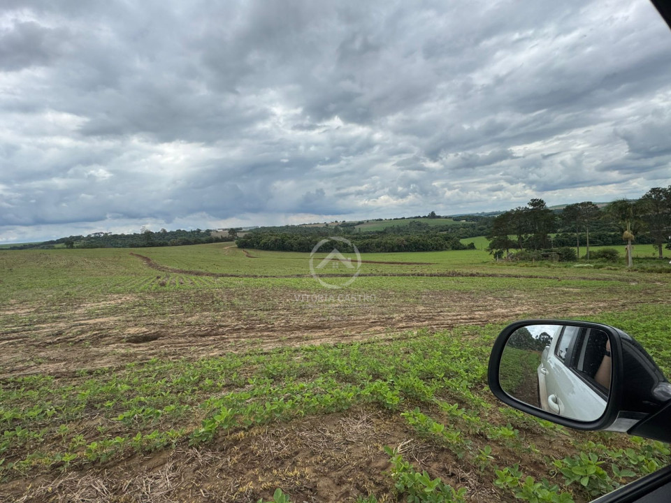 FAZENDA COM 380 ALQUEIRES