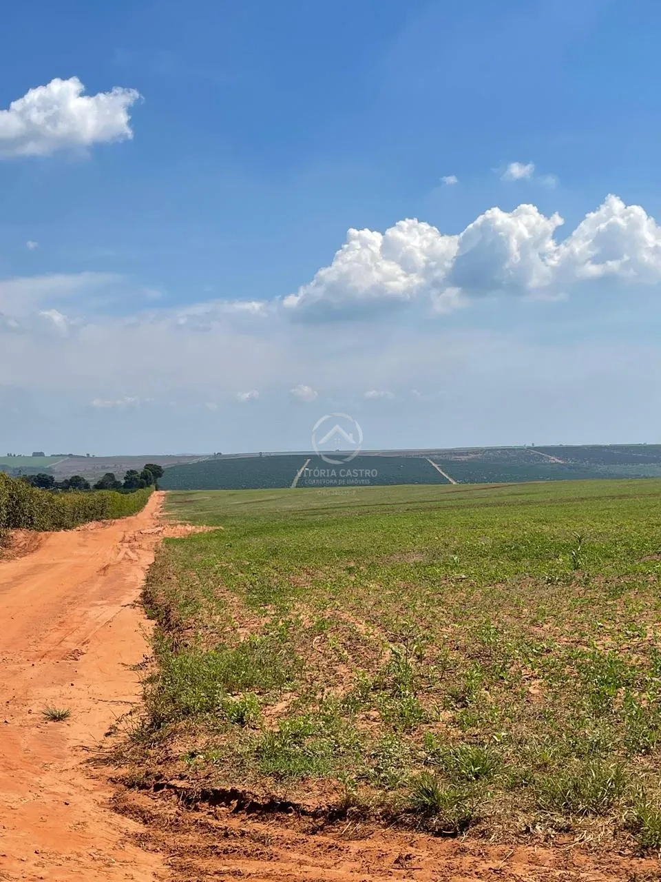 SITIO COM 35,35 ALQUEIRES