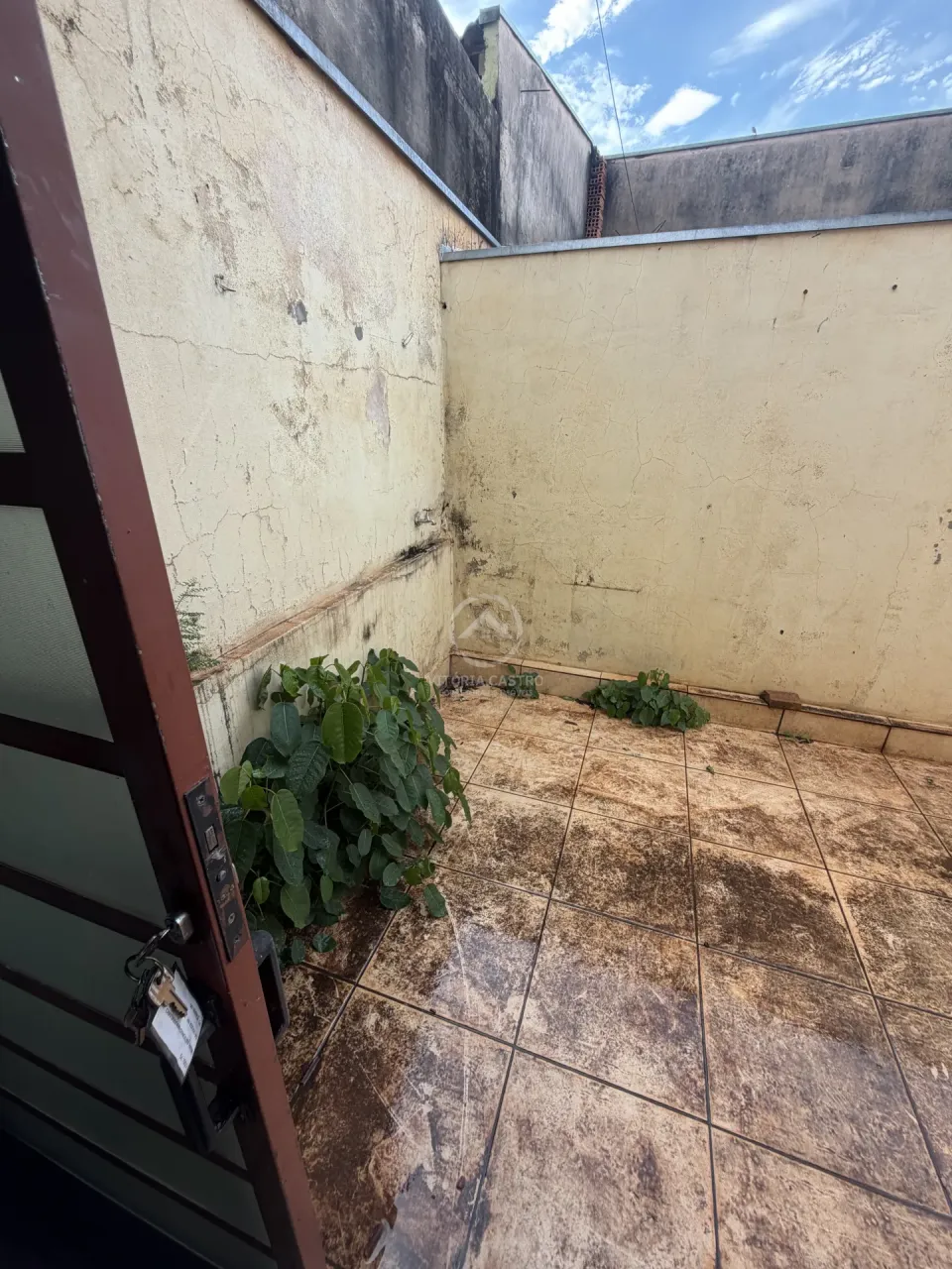 Casa Para Alugar Jardim Planalto Santa Cruz Do Rio Pardo