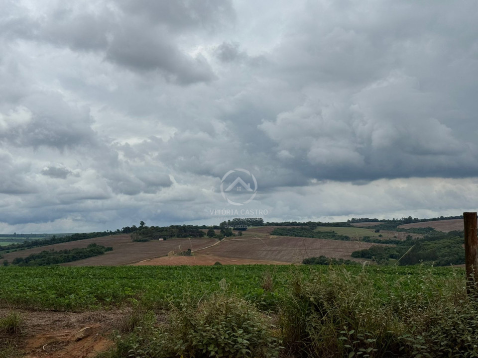FAZENDA COM 380 ALQUEIRES