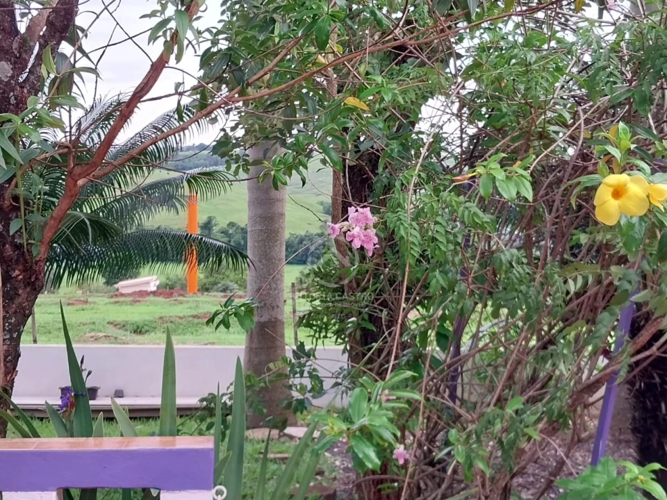 Imagens do imóveis SITIO DE 2 ALQUEIRES