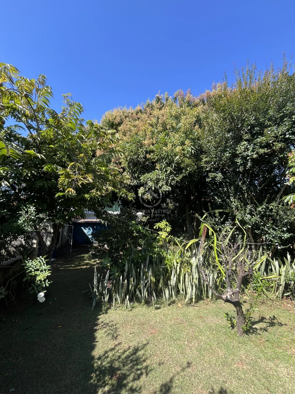 Terreno À Venda Vila Joaquim Paulino Santa Cruz Do Rio Pardo