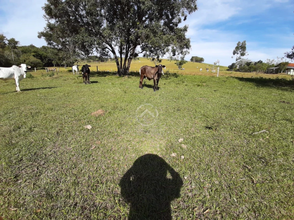 SITIO EM SANTO ANTONIO DA PLATINA