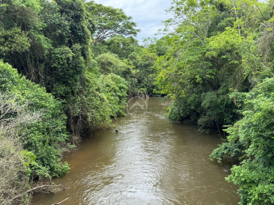 FAZENDA COM 380 ALQUEIRES