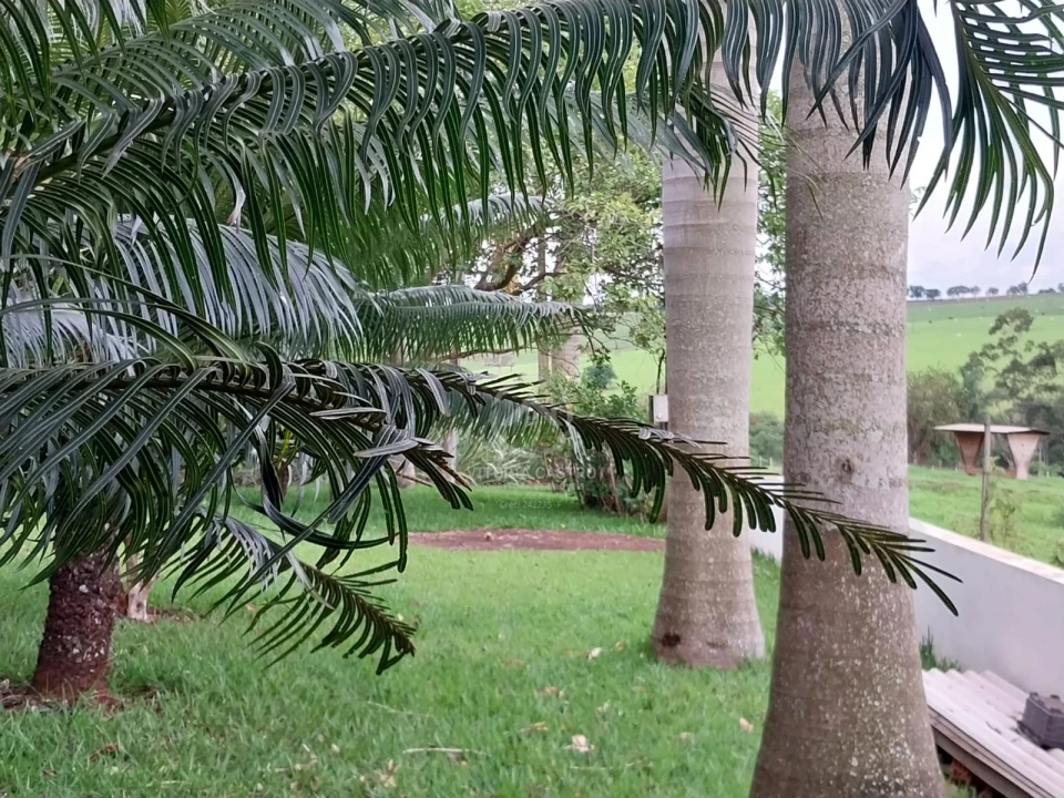 Imagens do imóveis SITIO DE 2 ALQUEIRES