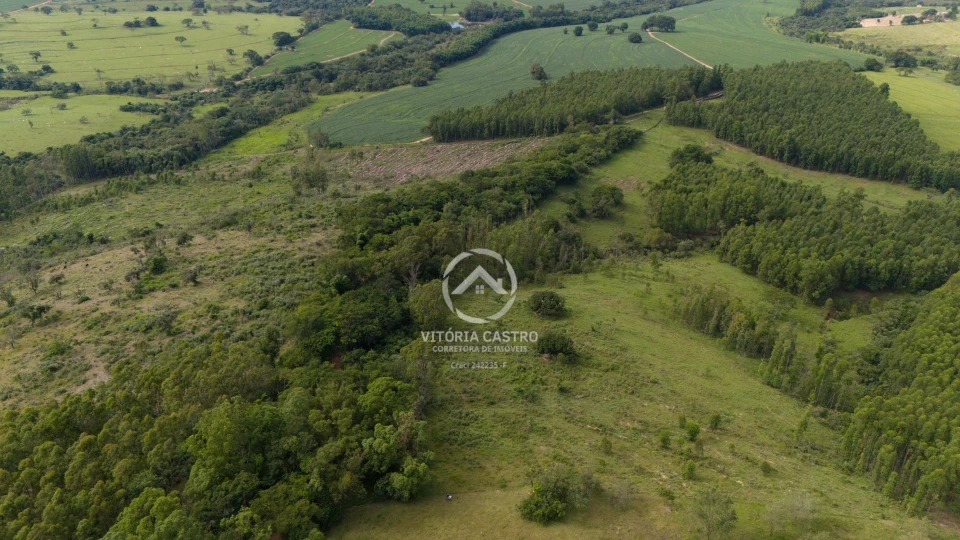 FAZENDA EM ECHAPORÃ 57 ALQUEIRES