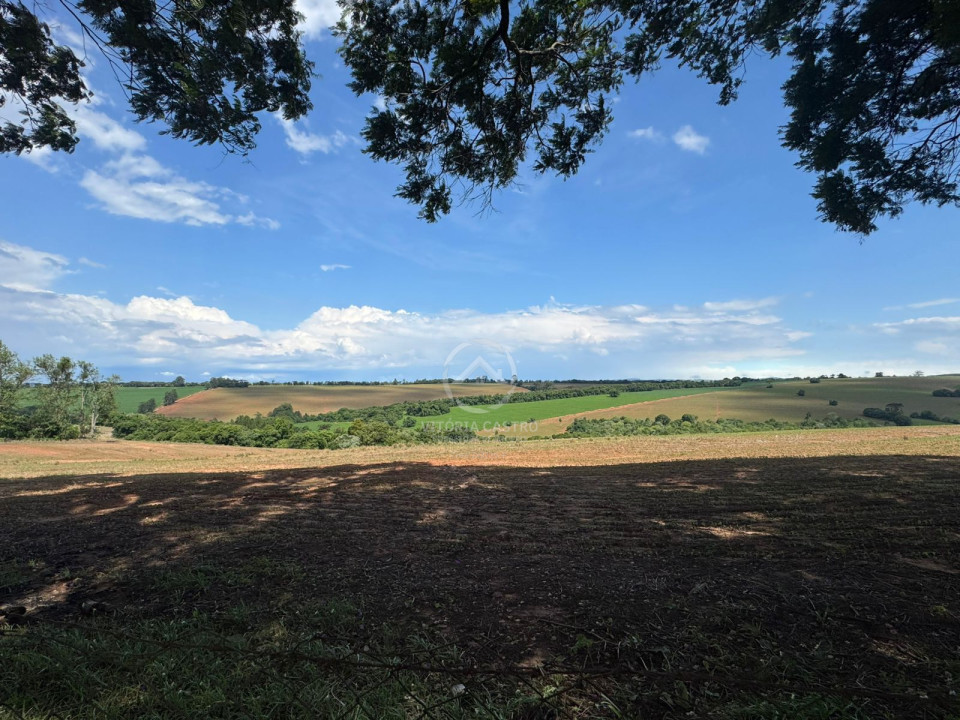 FAZENDA COM 380 ALQUEIRES