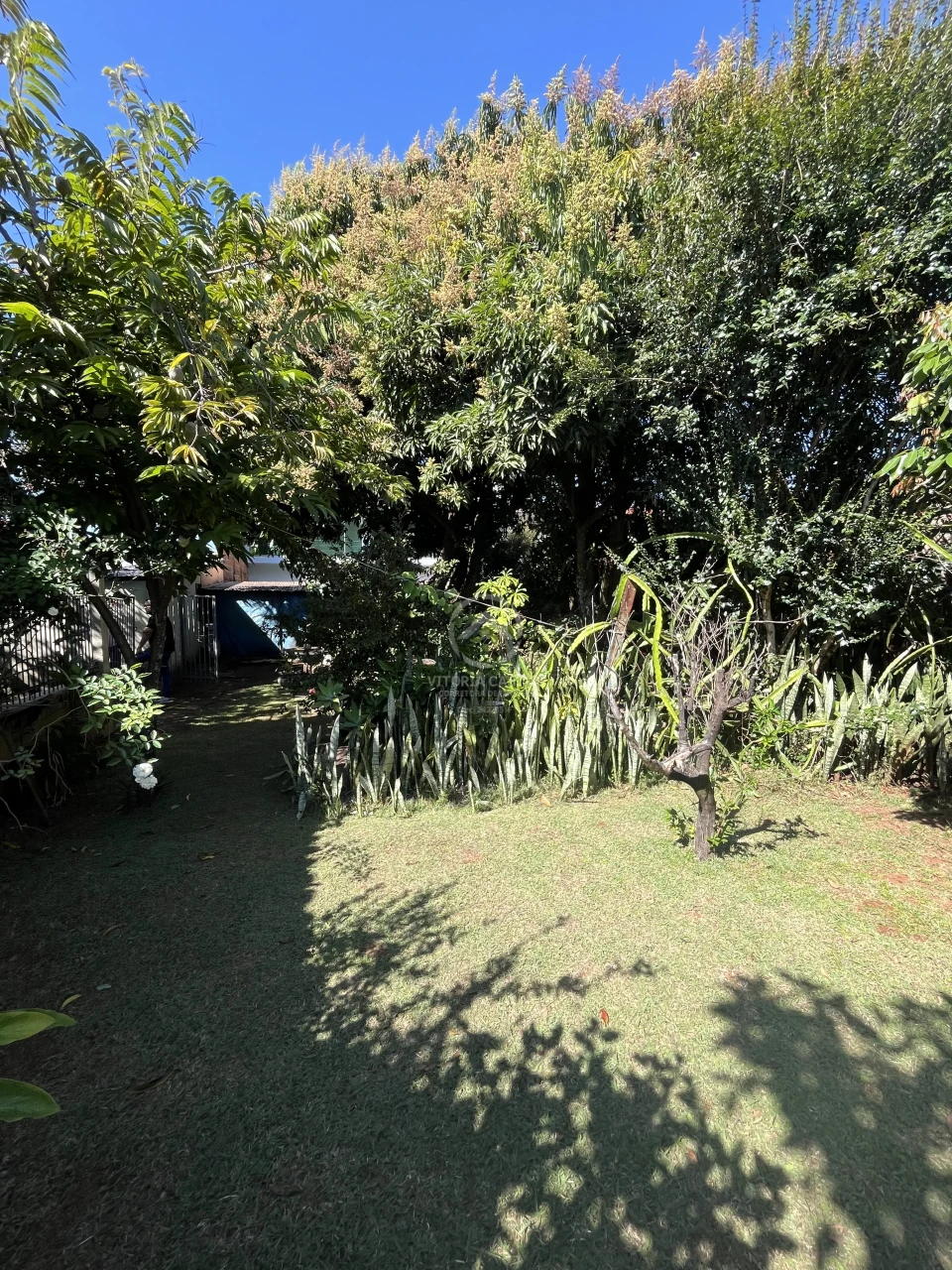 Terreno À Venda Vila Joaquim Paulino Santa Cruz Do Rio Pardo