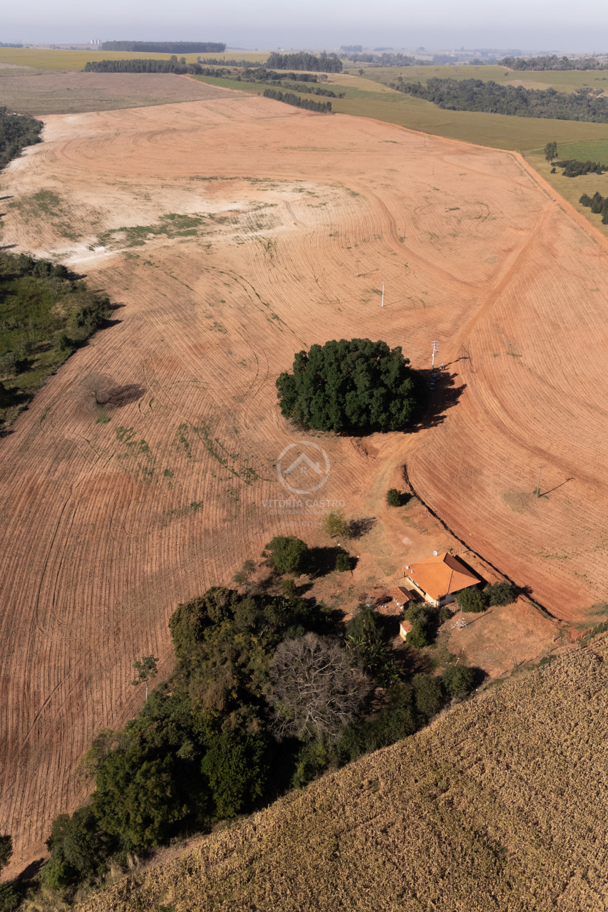 SITIO DE 14 ALQUEIRES Imagens do imóveis SITIO DE 14 ALQUEIRES