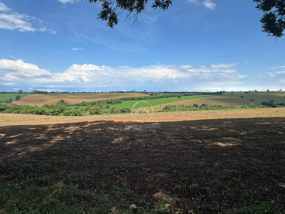 FAZENDA COM 380 ALQUEIRES