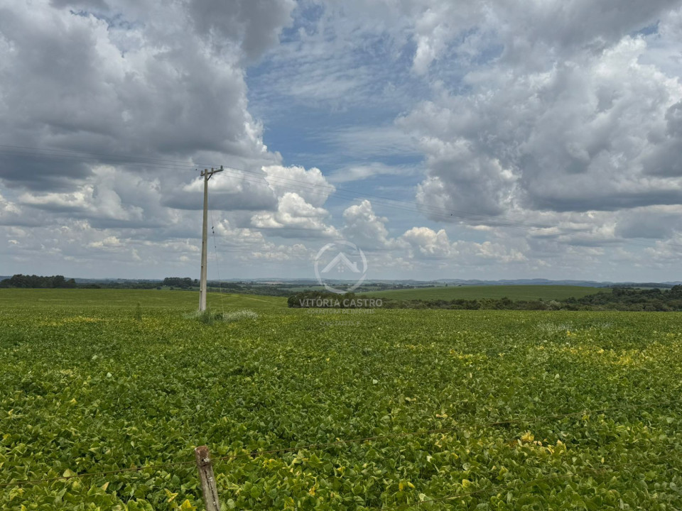 FAZENDA COM 380 ALQUEIRES