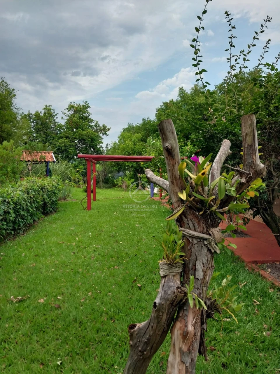 SITIO DE 2 ALQUEIRES Imagens do imóveis SITIO DE 2 ALQUEIRES