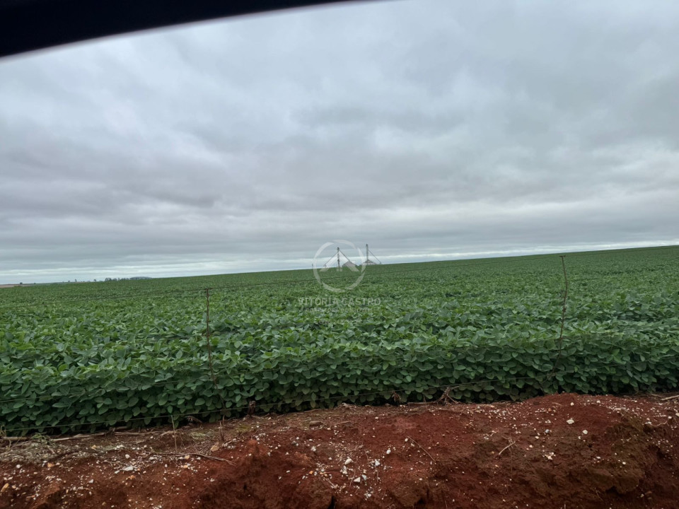 FAZENDA COM 380 ALQUEIRES
