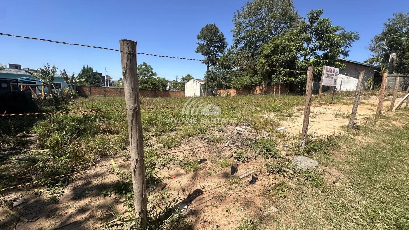 Terreno para Venda em Florianópolis / SC no bairro São João do Rio Vermelho