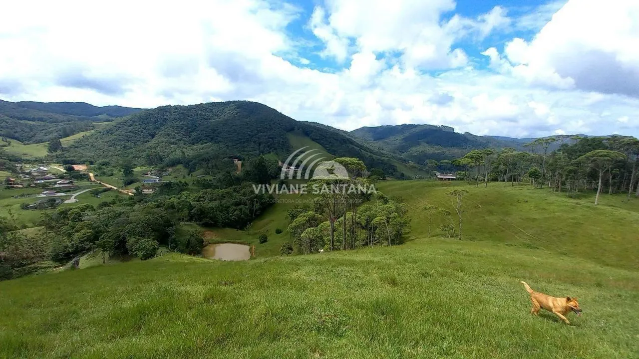 Sítio para Venda em São Pedro de Alcântara / SC no bairro Barra da Lagoa