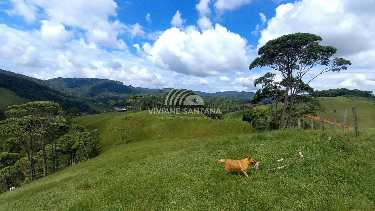 Sítio para Venda em São Pedro de Alcântara / SC no bairro Barra da Lagoa