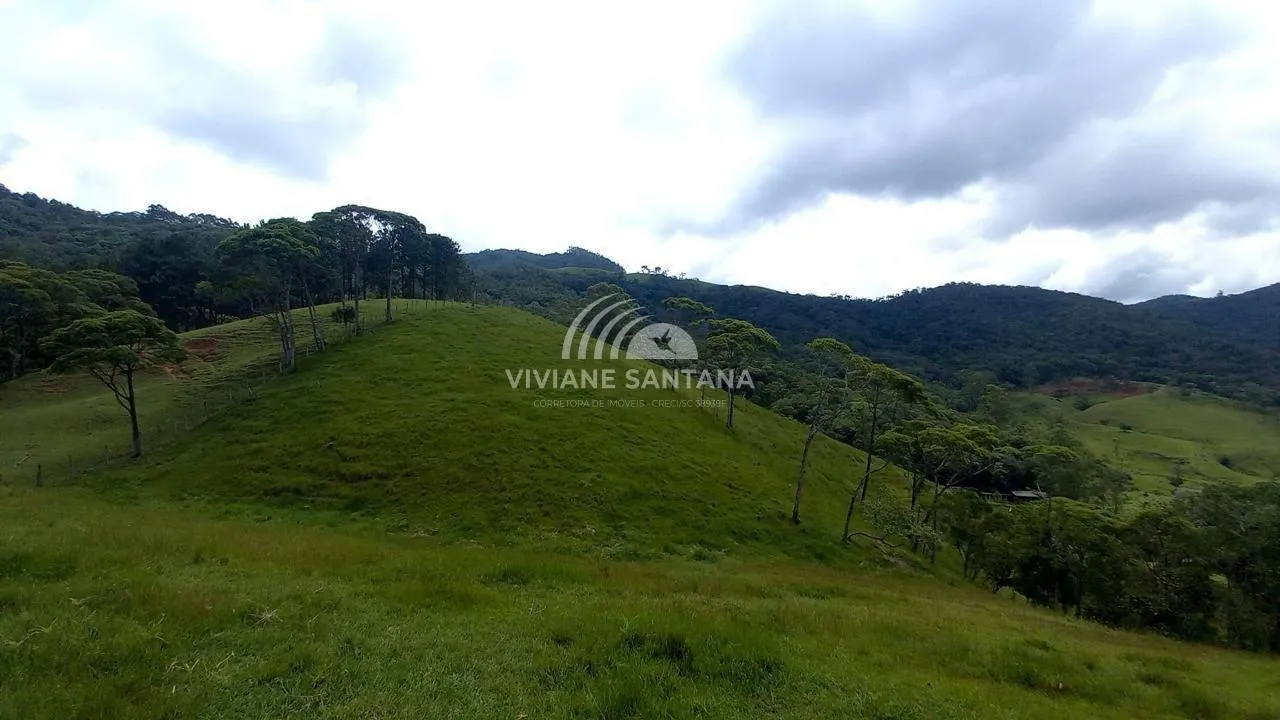 Sítio para Venda em São Pedro de Alcântara / SC no bairro Barra da Lagoa
