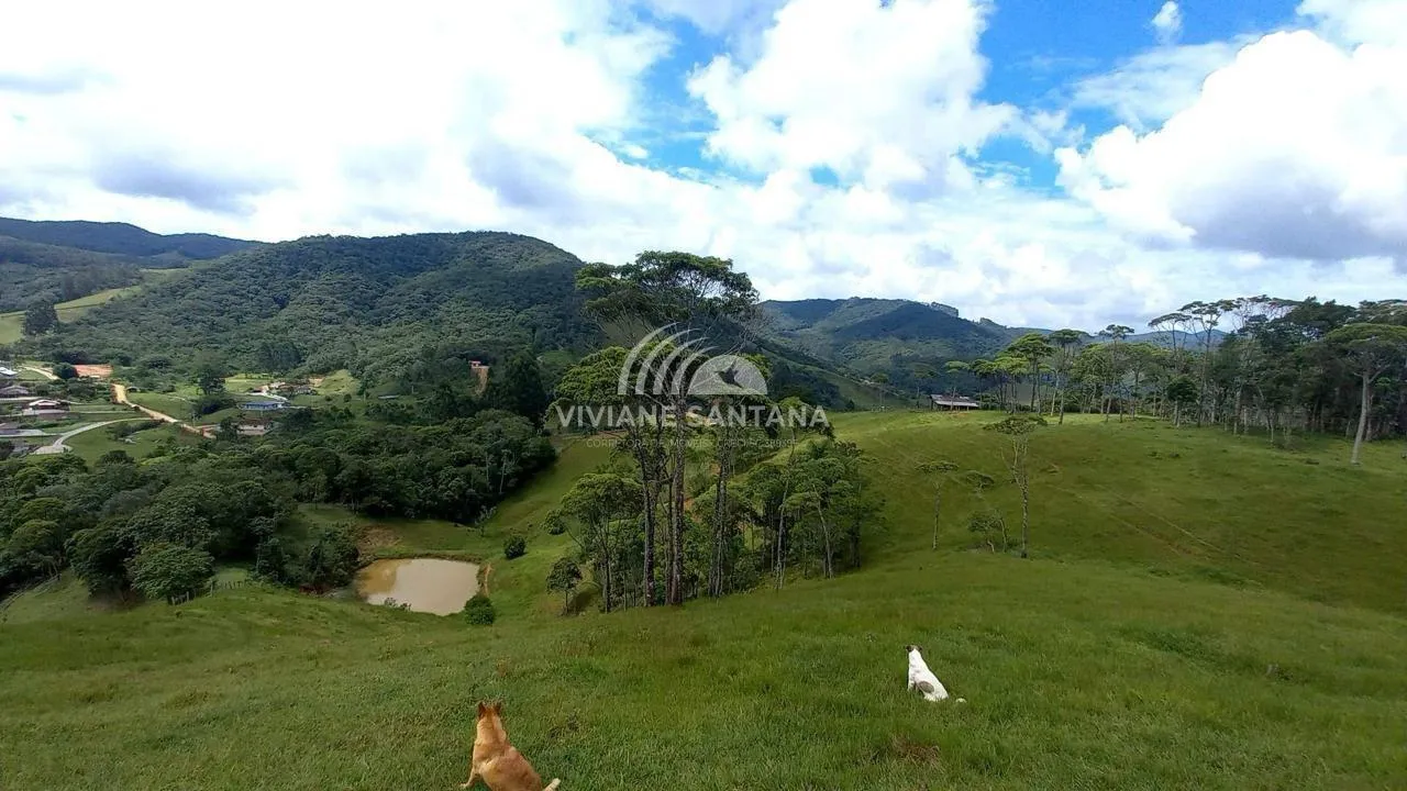 Sítio para Venda em São Pedro de Alcântara / SC no bairro Barra da Lagoa