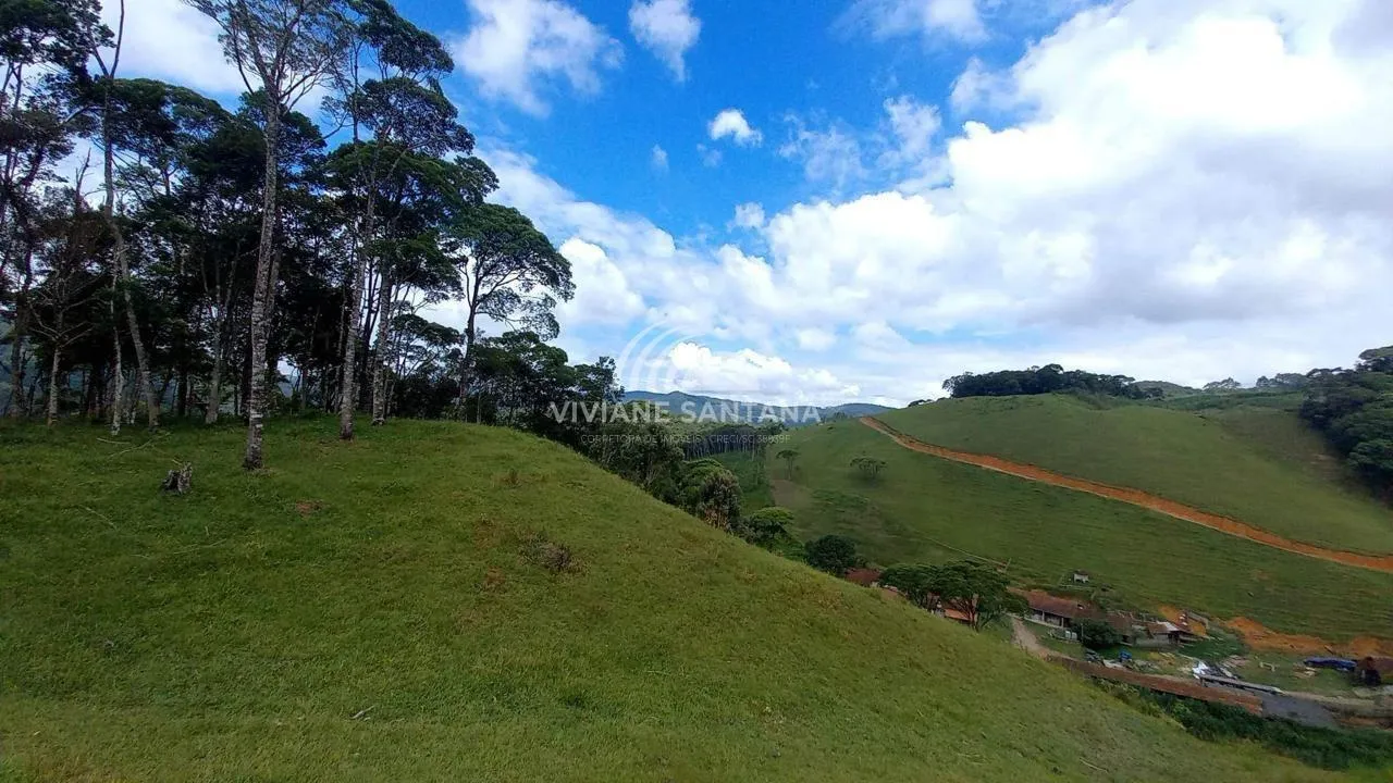Sítio para Venda em São Pedro de Alcântara / SC no bairro Barra da Lagoa