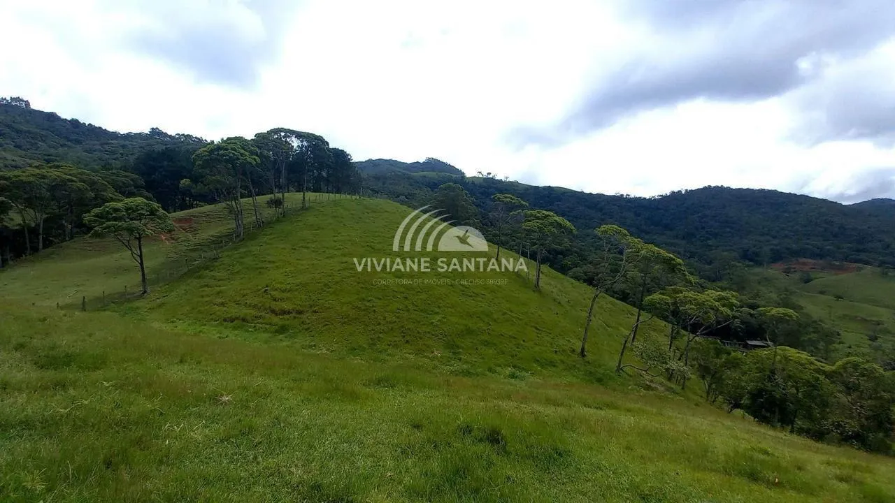 Sítio para Venda em São Pedro de Alcântara / SC no bairro Barra da Lagoa