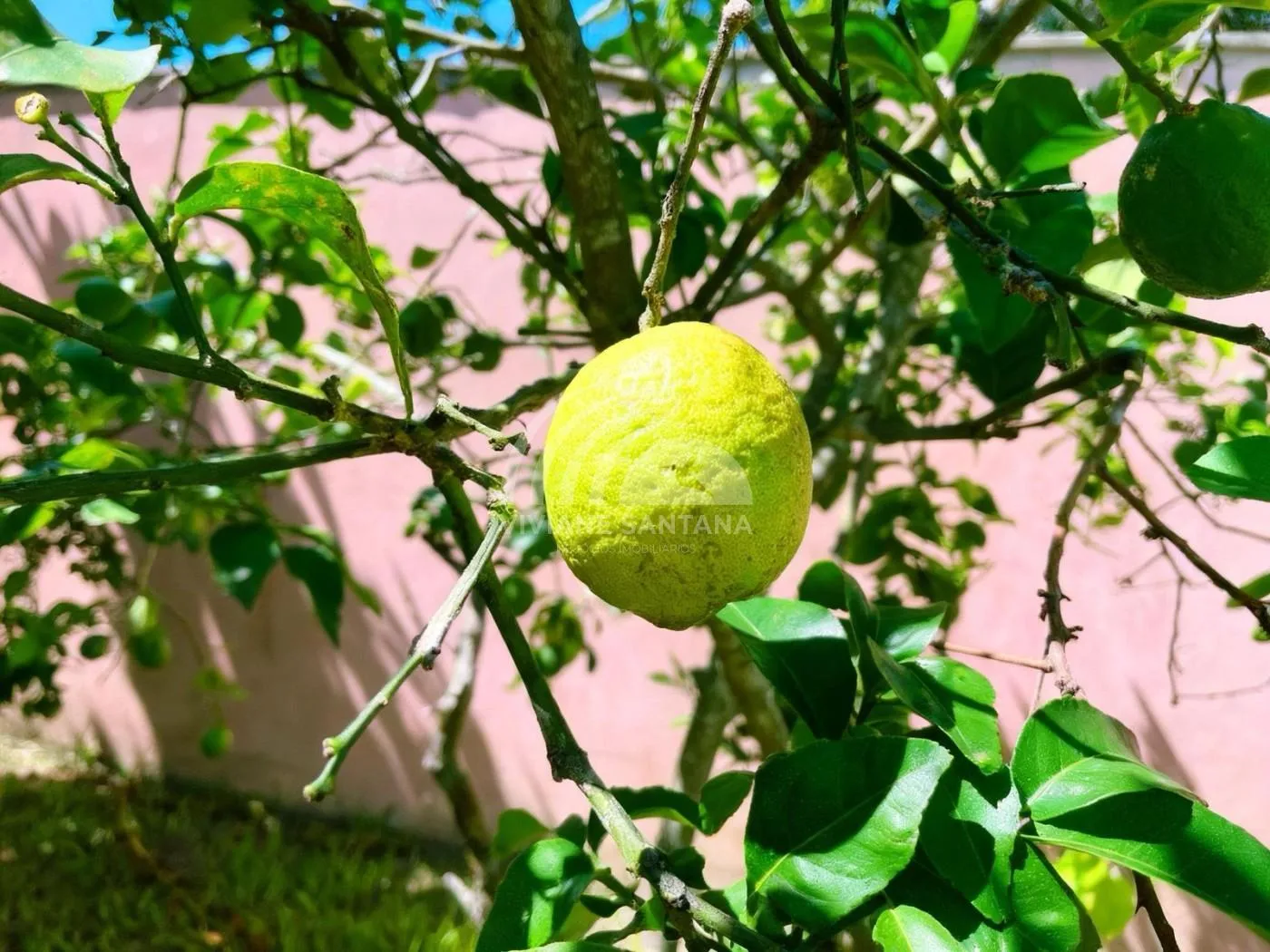 Casa para Venda em Florianópolis / SC no bairro São João do Rio Vermelho