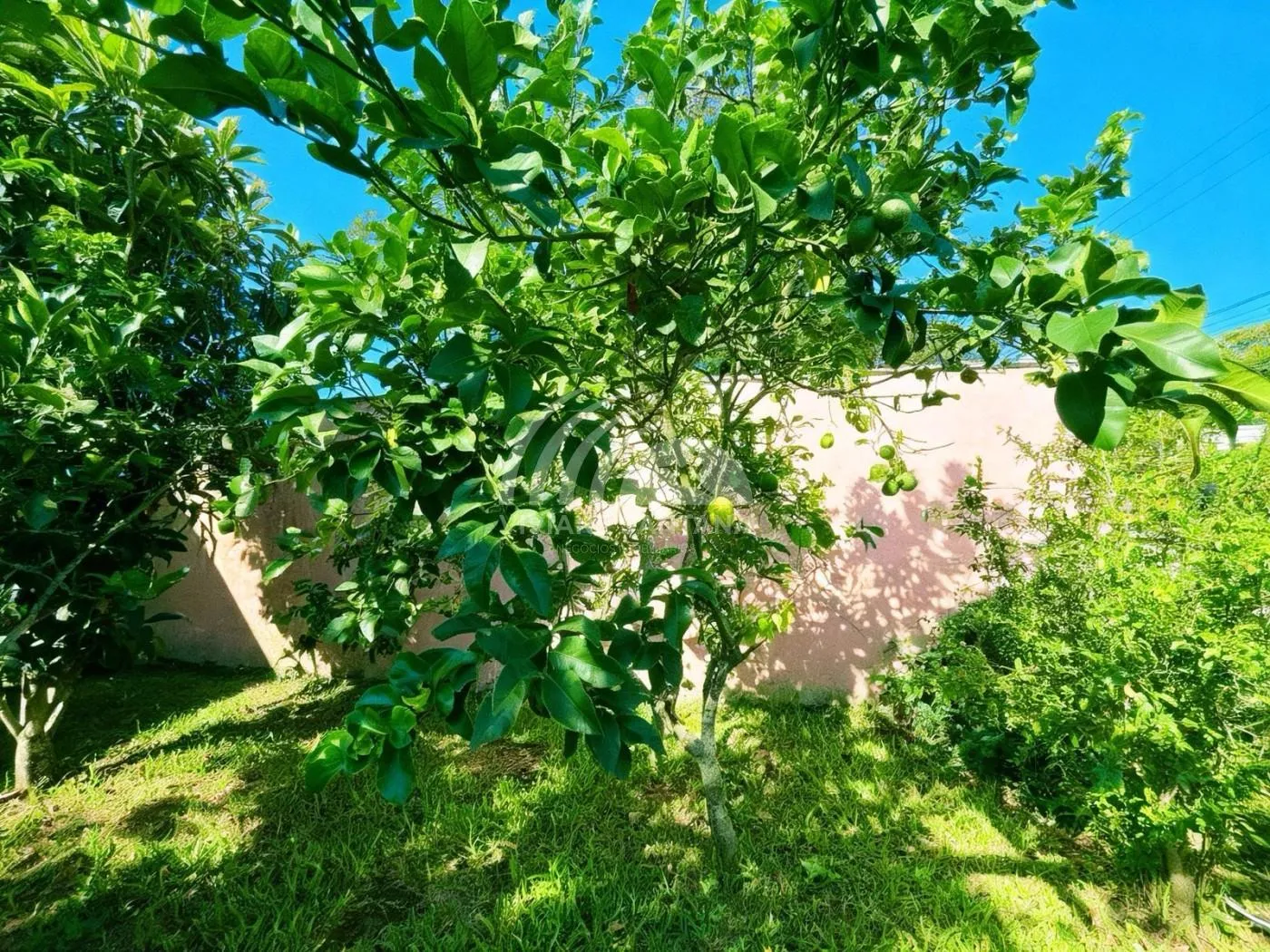 Casa para Venda em Florianópolis / SC no bairro São João do Rio Vermelho
