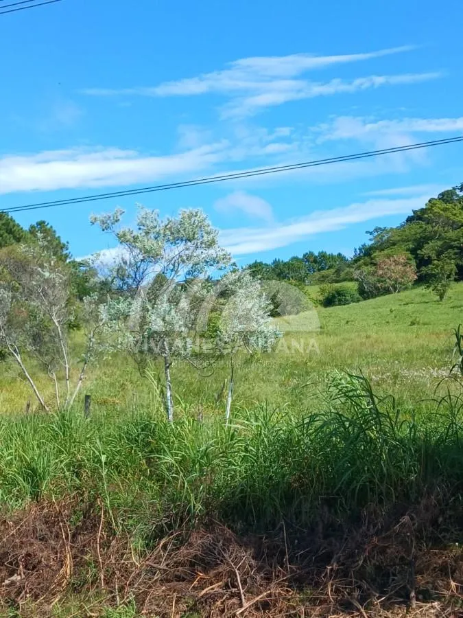 Terreno para Venda em Florianópolis / SC no bairro São João do Rio Vermelho