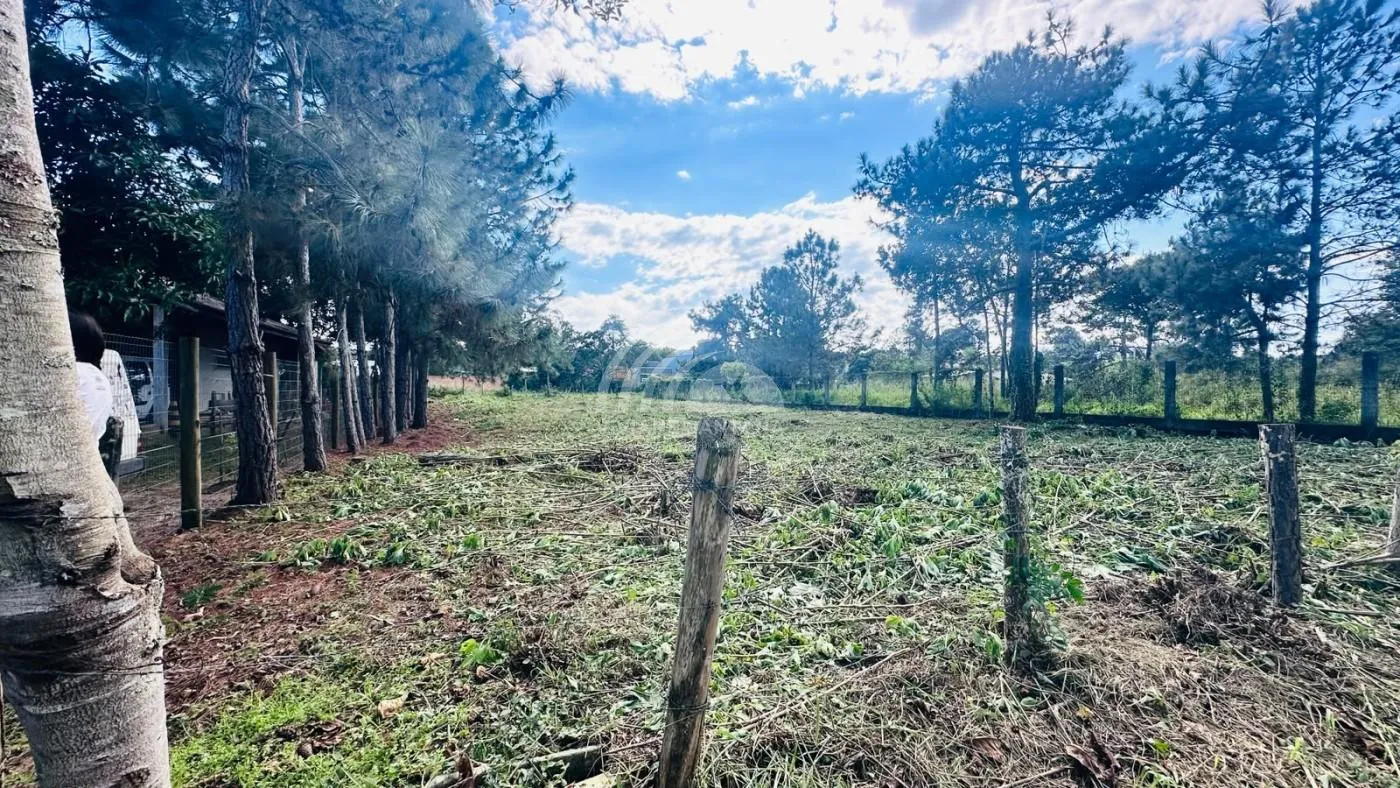 Terreno para Venda em Florianópolis / SC no bairro São João do Rio Vermelho