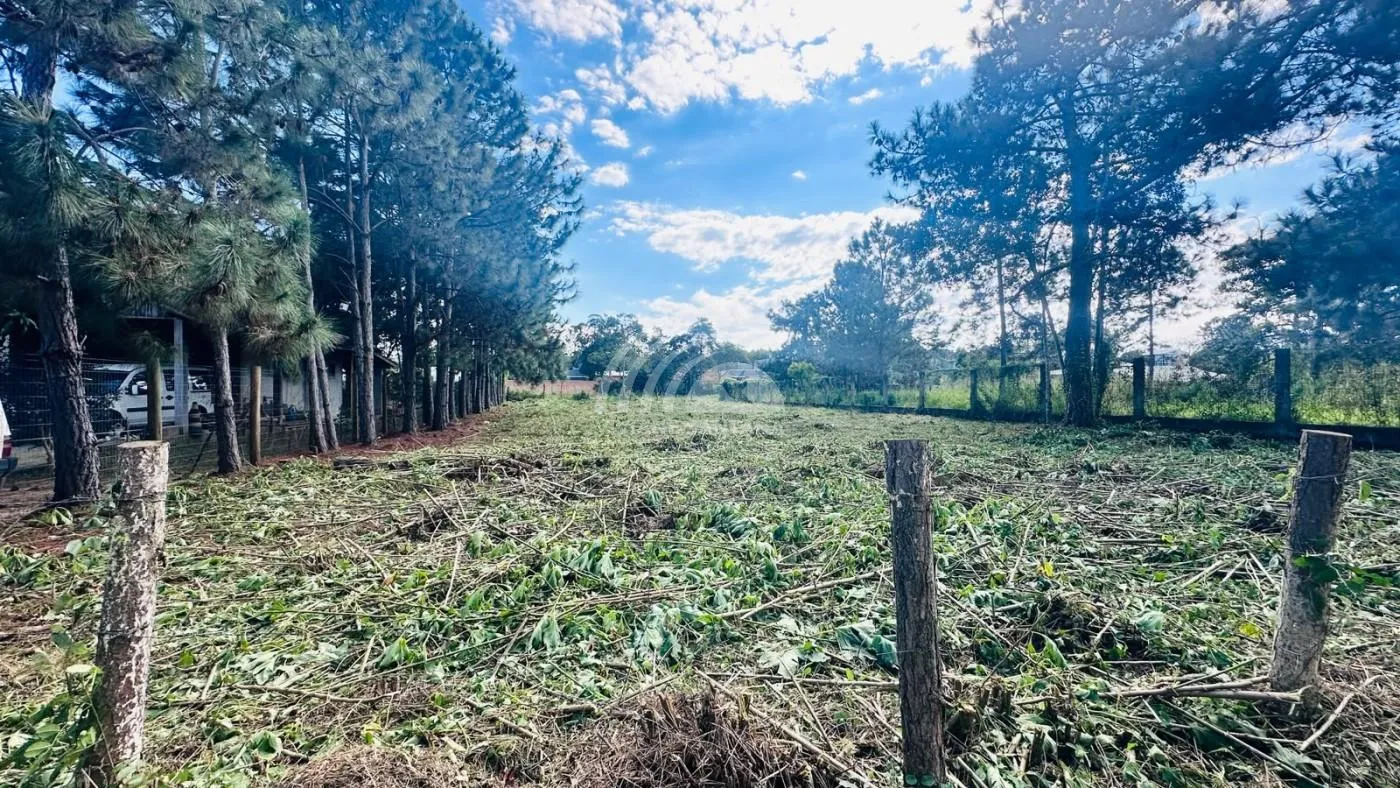 Terreno para Venda em Florianópolis / SC no bairro São João do Rio Vermelho