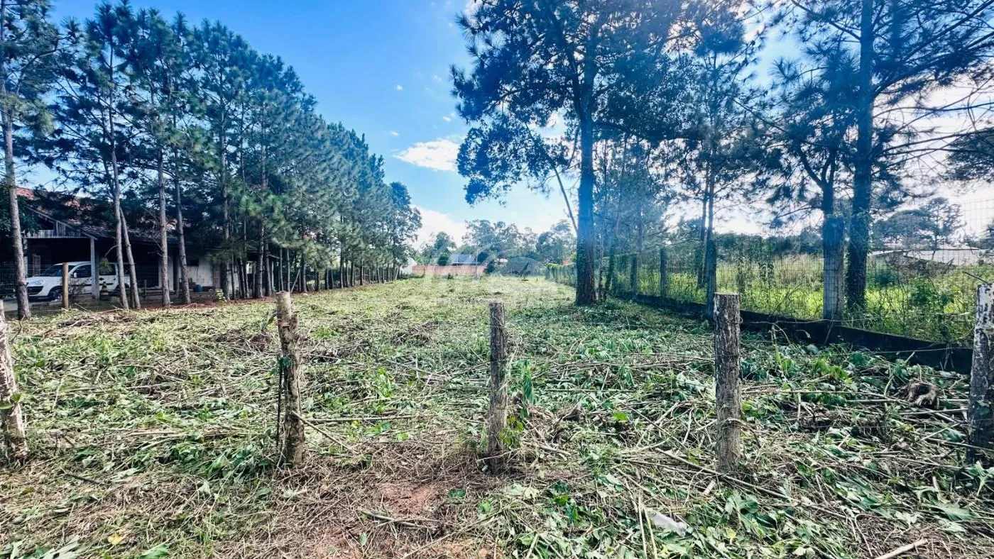 Terreno para Venda em Florianópolis / SC no bairro São João do Rio Vermelho