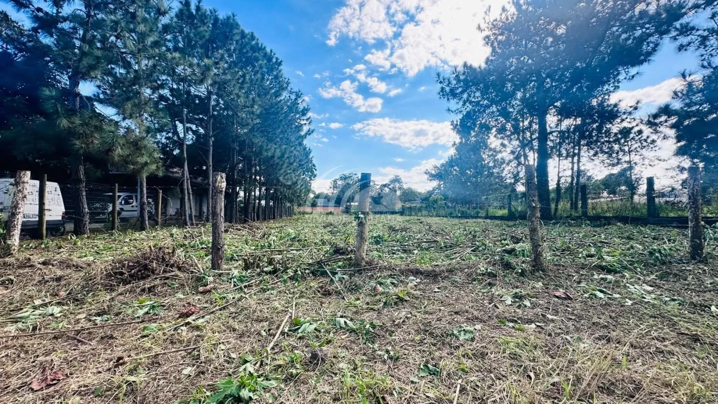 Terreno para Venda em Florianópolis / SC no bairro São João do Rio Vermelho