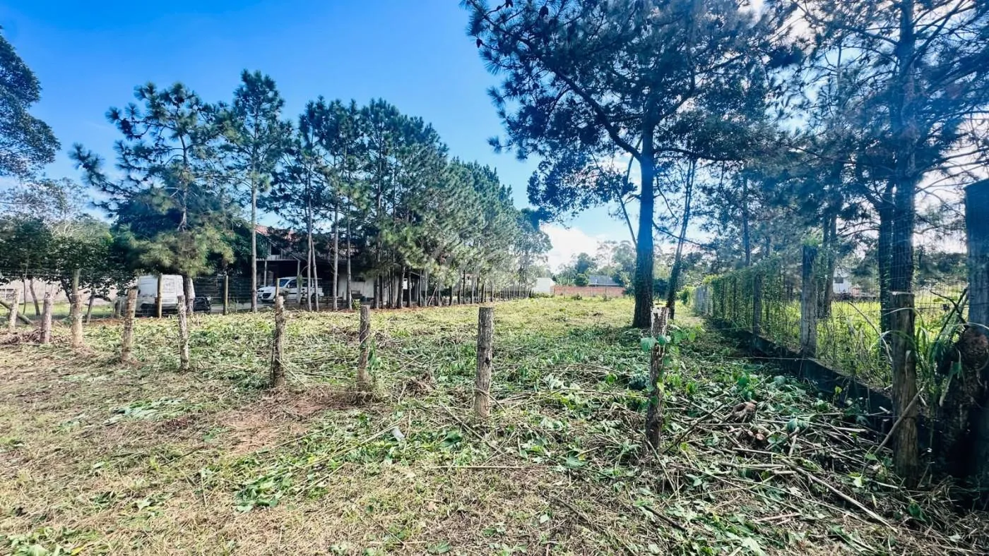 Terreno para Venda em Florianópolis / SC no bairro São João do Rio Vermelho