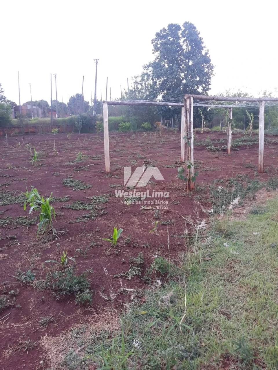 Imagens do imóveis Chácara à venda no Jardim das Flores