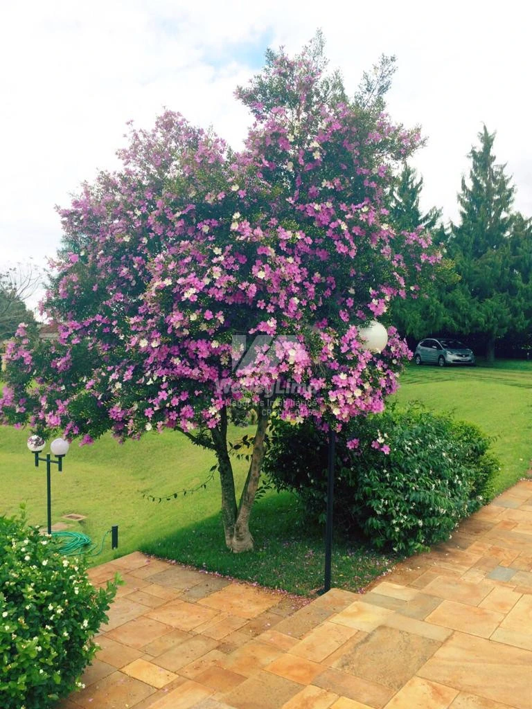 CHACARA CONDOMINIO GREEN VILAGE - CAMBÈ