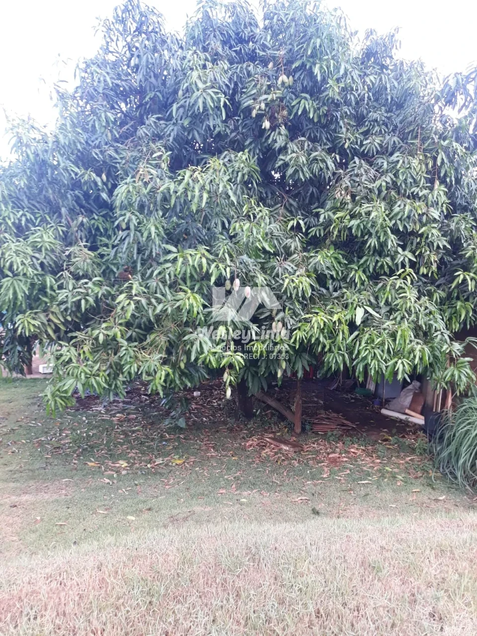 Imagens do imóveis Chácara à venda no Jardim das Flores