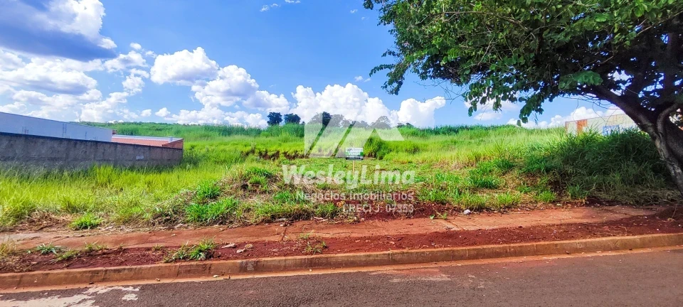 Terreno à Venda no Jardim da Gávea em Londrina – 250m² por R$ 150 Mil