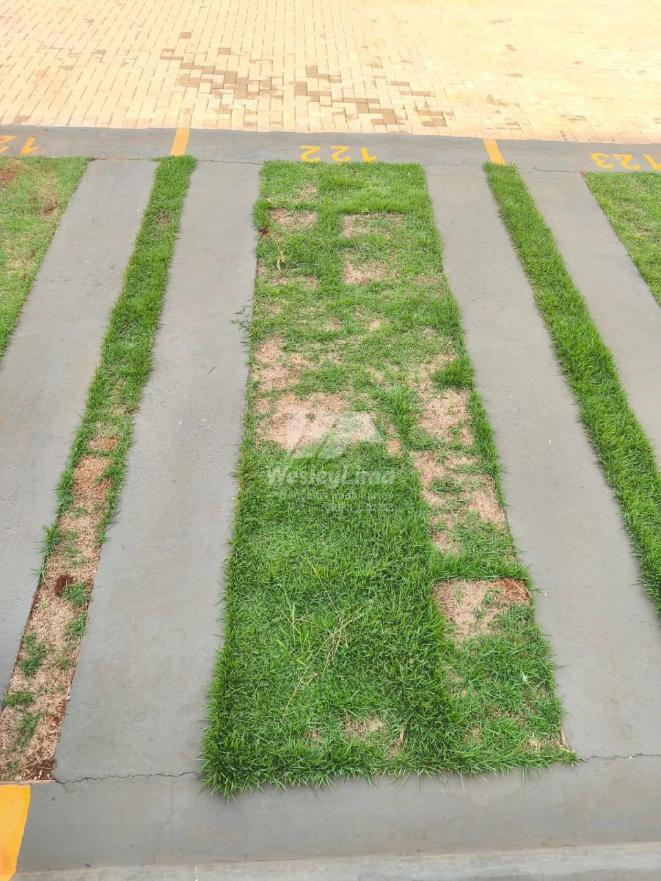 Imagens do imóveis APARTAMENTO PARA LOCAÇÃO - RESIDENCIAL LAKE VAN GOGH - ZONA LESTE