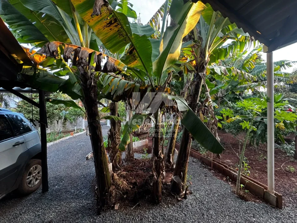 Chácara à Venda no Recanto Amaral – 1.000 m² ou Opção de 500 m² – Warta/Cambé PR