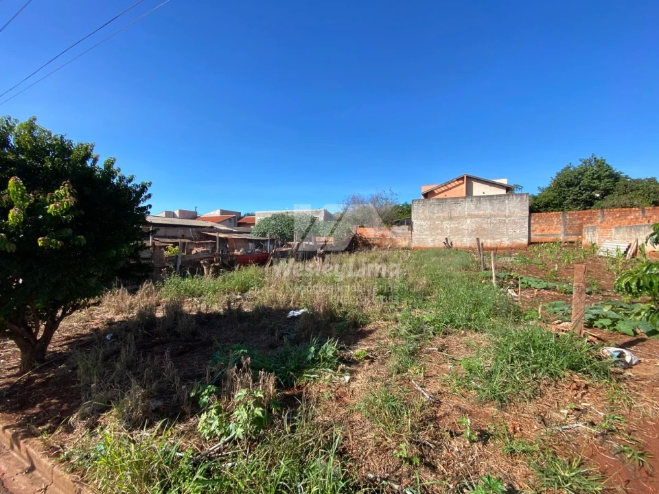 Imagens do imóveis Terreno à venda no Jardim Paris – 250 m²