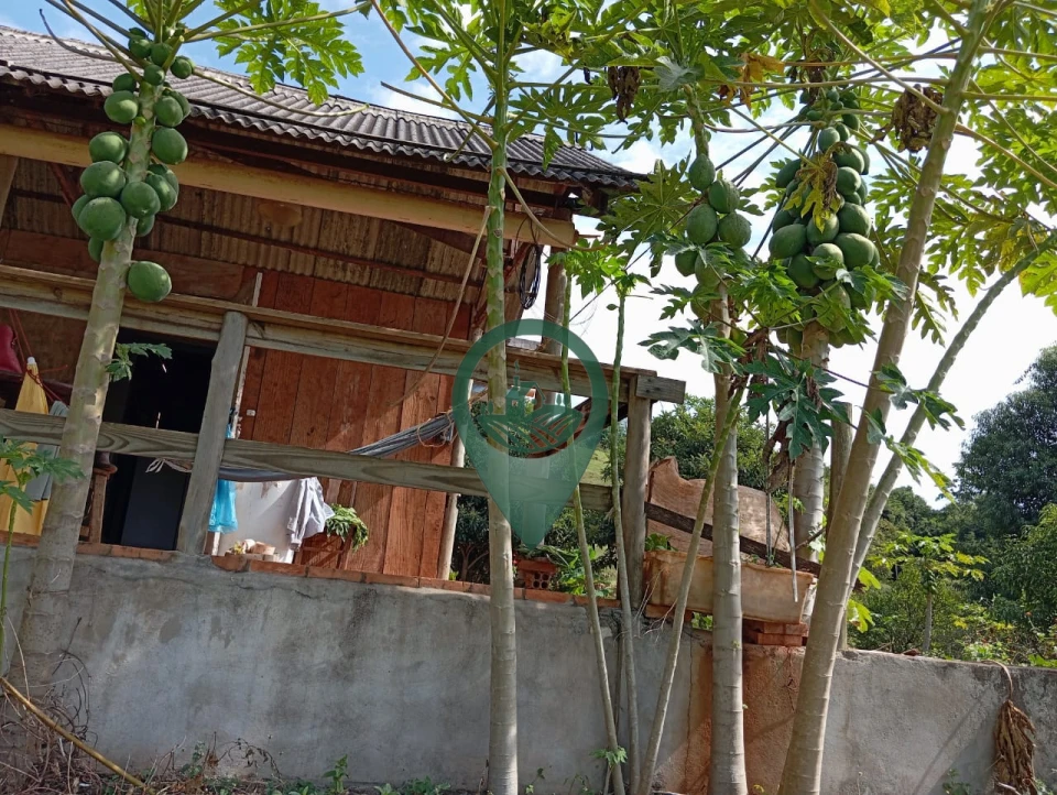 Imagens do imóveis Fazenda/Sítios/Chácaras À Venda Rural Londrina
