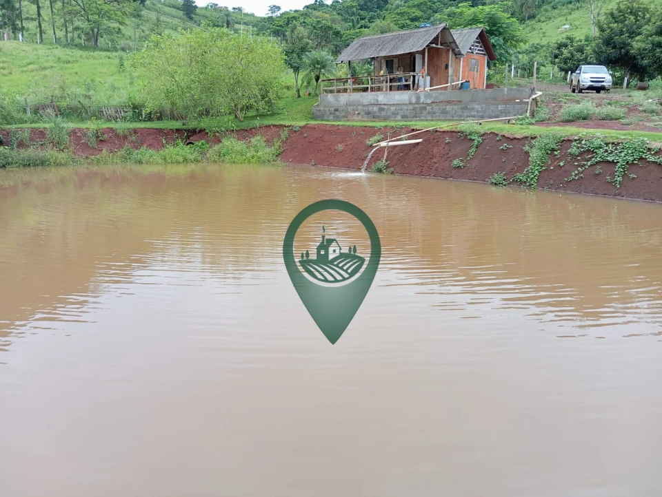 Imagens do imóveis Fazenda/Sítios/Chácaras À Venda Rural Londrina