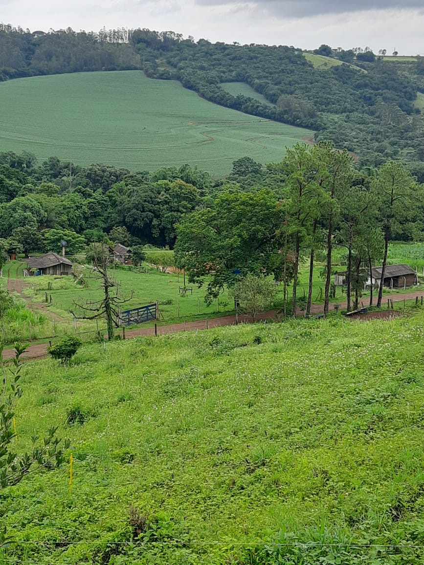 Imagens do imóveis Fazenda/Sítios/Chácaras À Venda Rural Londrina