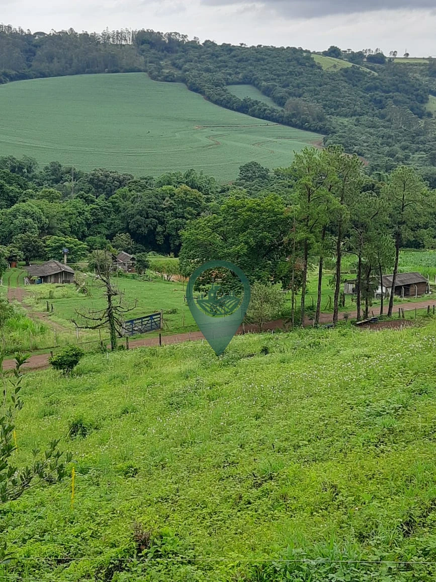 Imagens do imóveis Fazenda/Sítios/Chácaras À Venda Rural Londrina