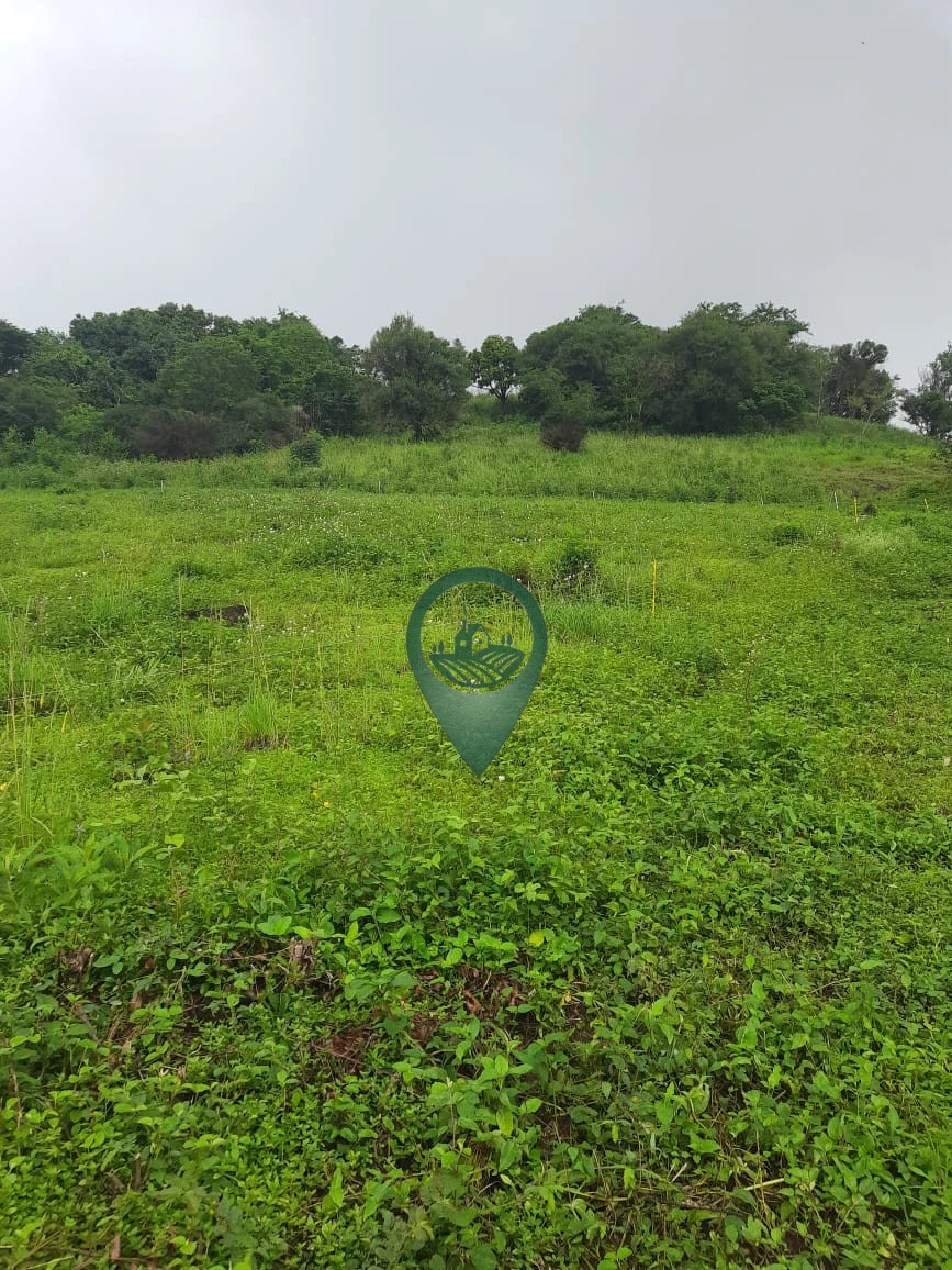 Imagens do imóveis Fazenda/Sítios/Chácaras À Venda Rural Londrina