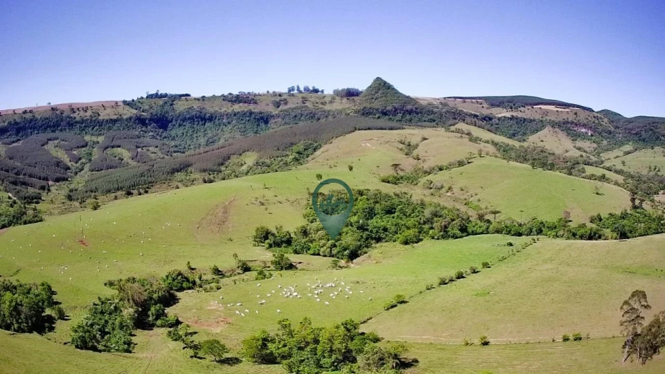 Imagens do imóveis Fazenda/Sítios/Chácaras À Venda Canta Galo Rio Branco Do Ivaí
