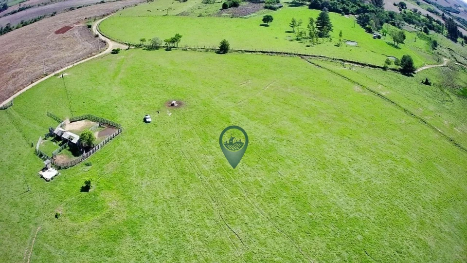 Imagens do imóveis Fazenda/Sítios/Chácaras À Venda Canta Galo Rio Branco Do Ivaí